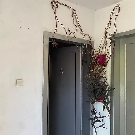 Herri's Shkodër